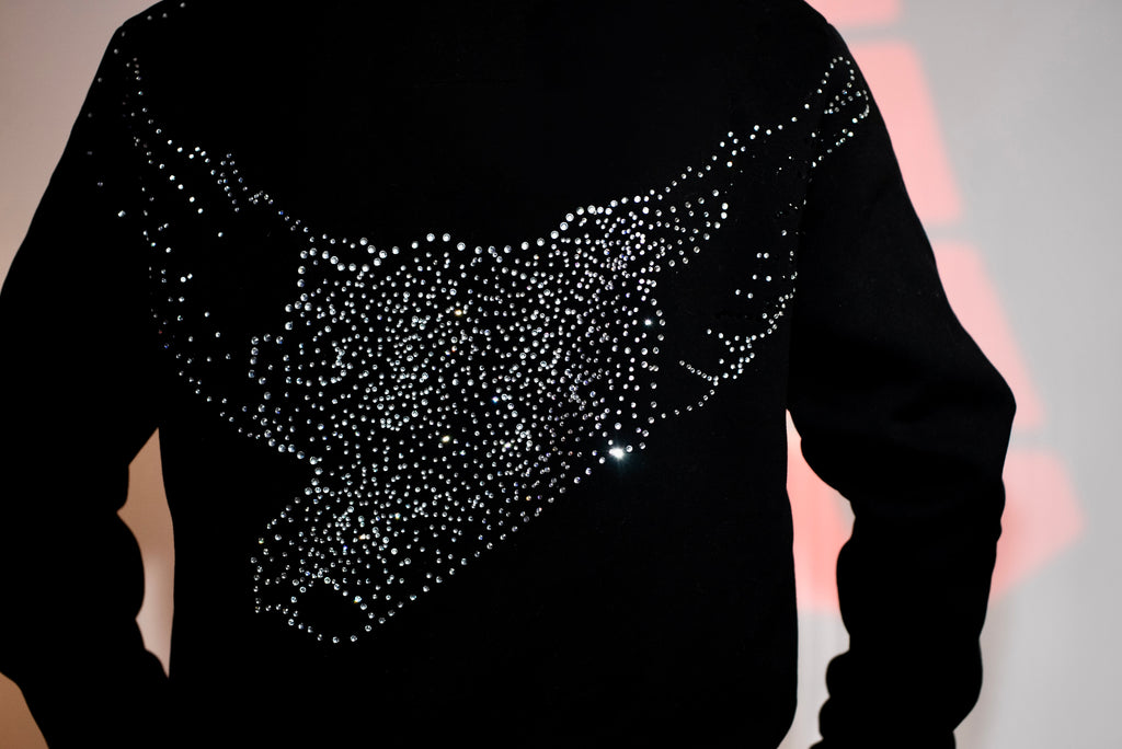 PHOENIX: Rise From the Ashes Hoodie