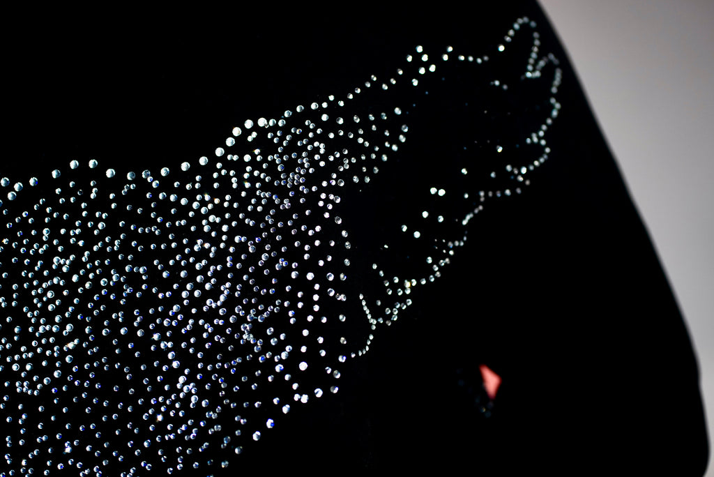 PHOENIX: Rise From the Ashes Hoodie