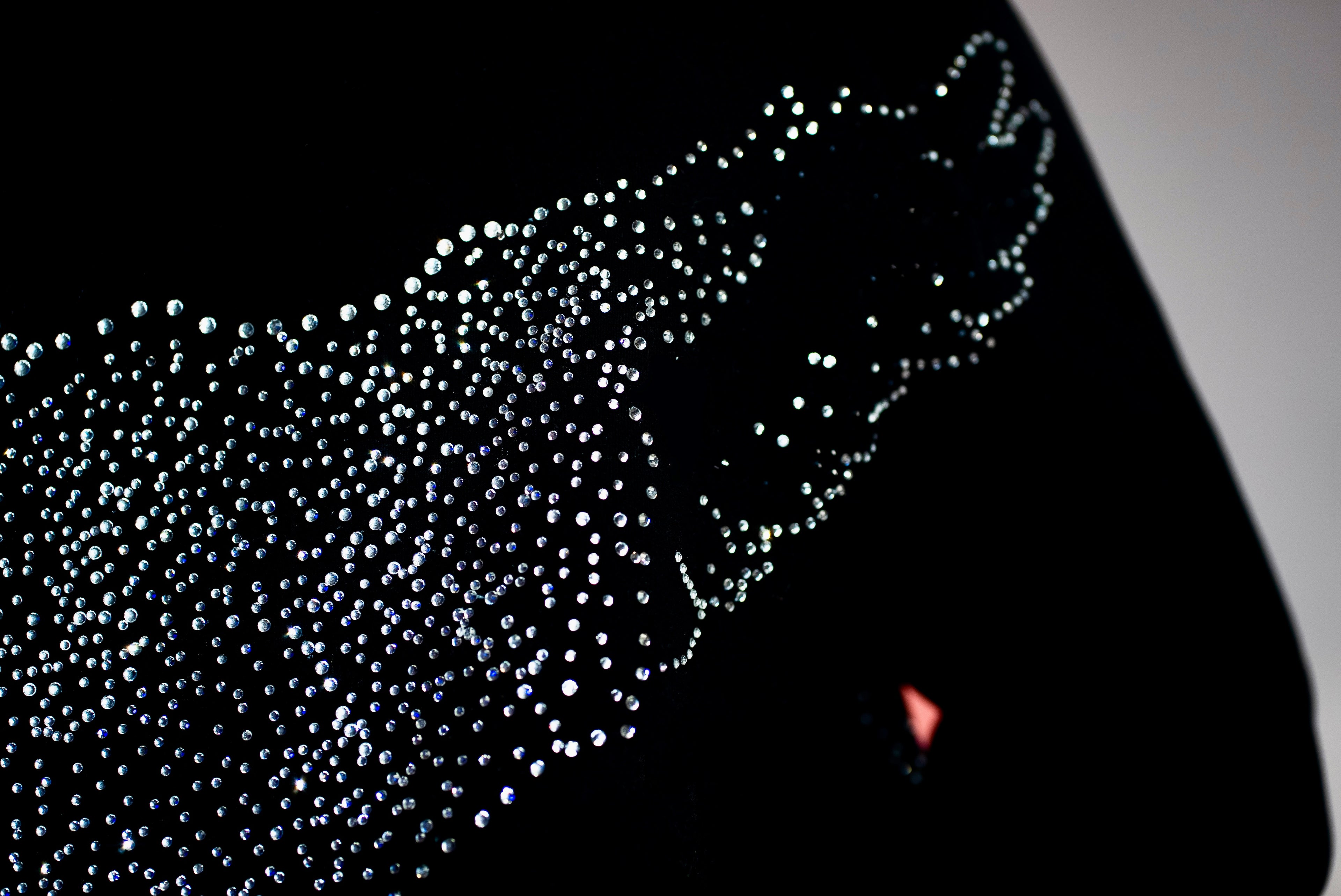 PHOENIX: Rise From the Ashes Hoodie