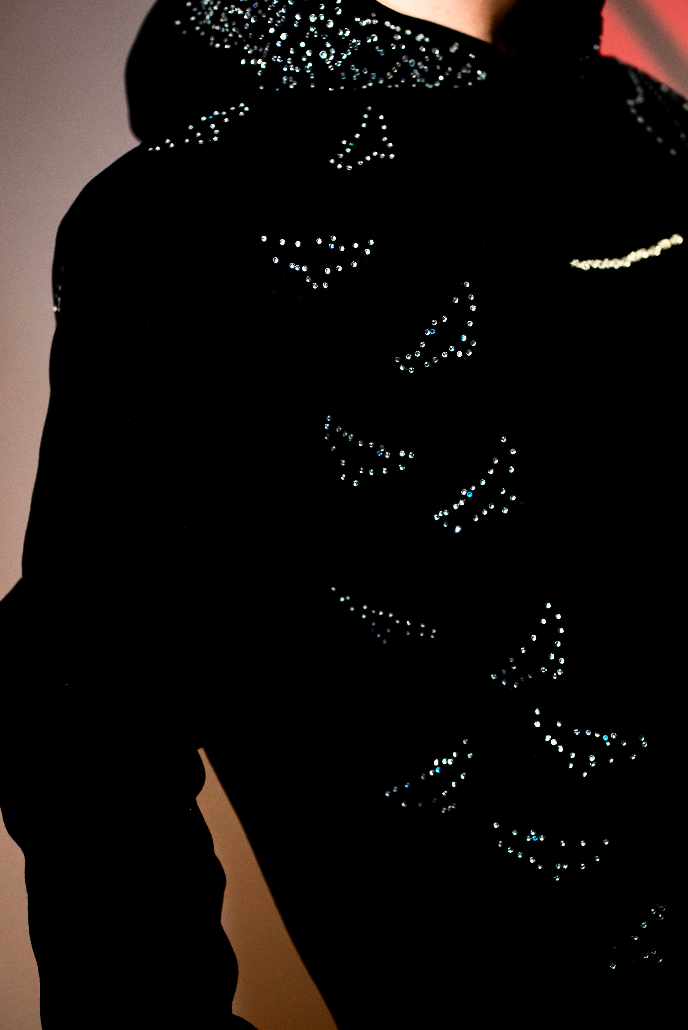 PHOENIX: Rise From the Ashes Hoodie