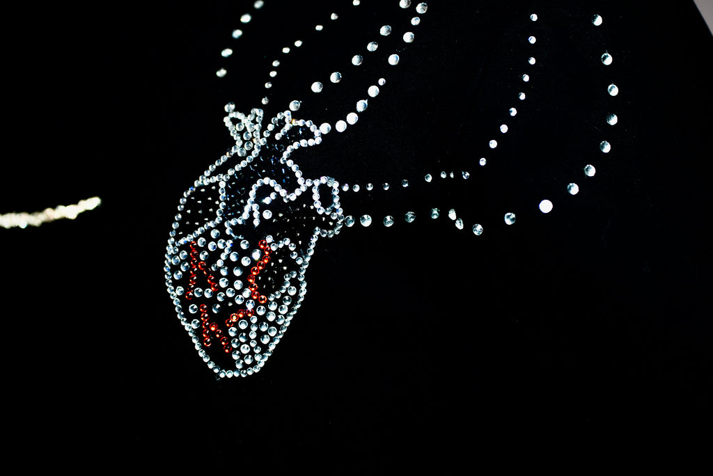 PHOENIX: Rise From the Ashes Hoodie