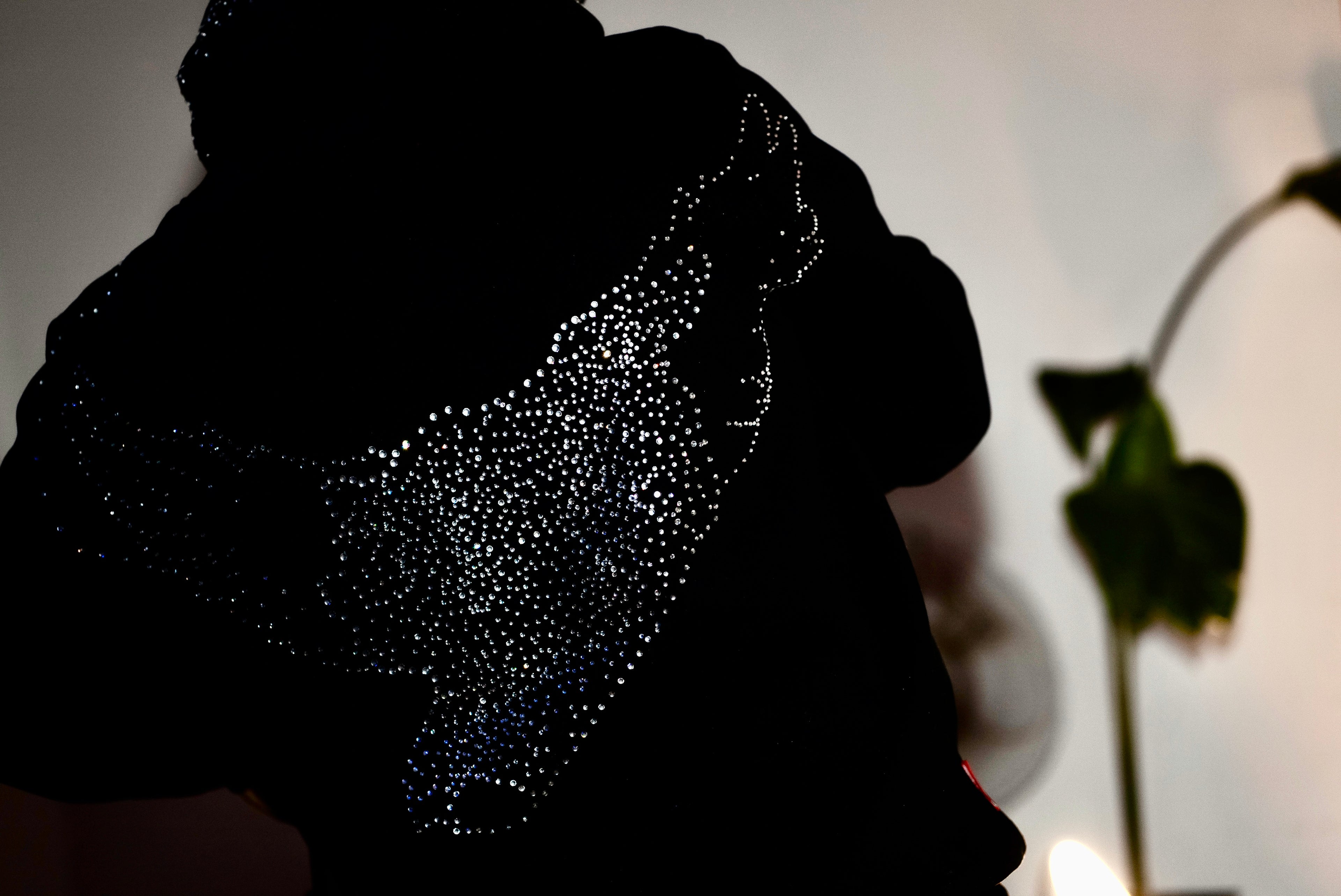 PHOENIX: Rise From the Ashes Hoodie