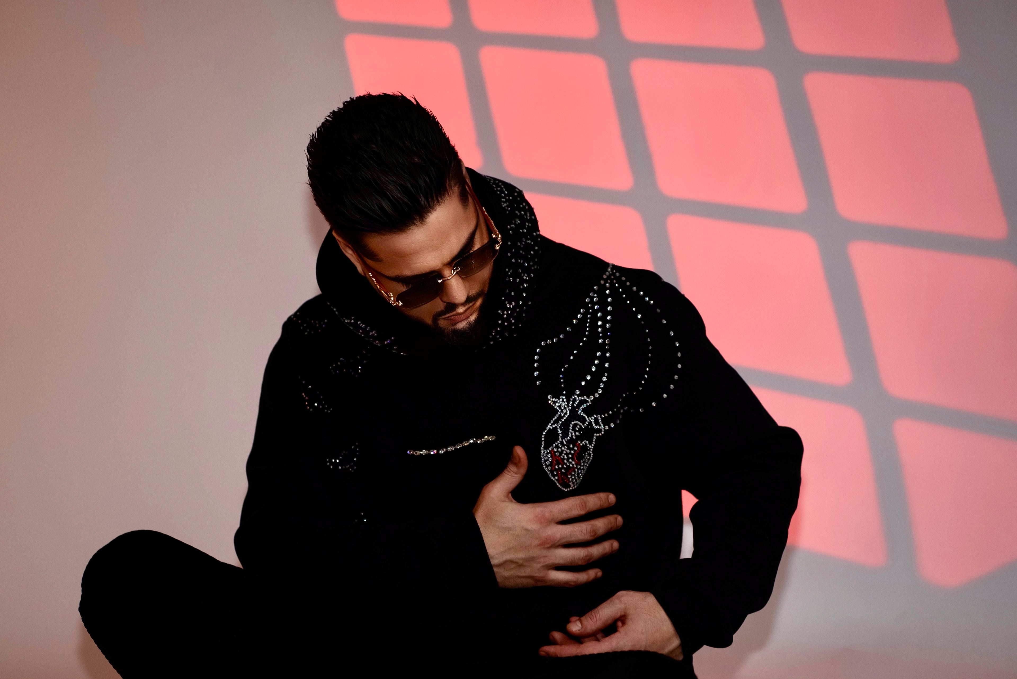 PHOENIX: Rise From the Ashes Hoodie