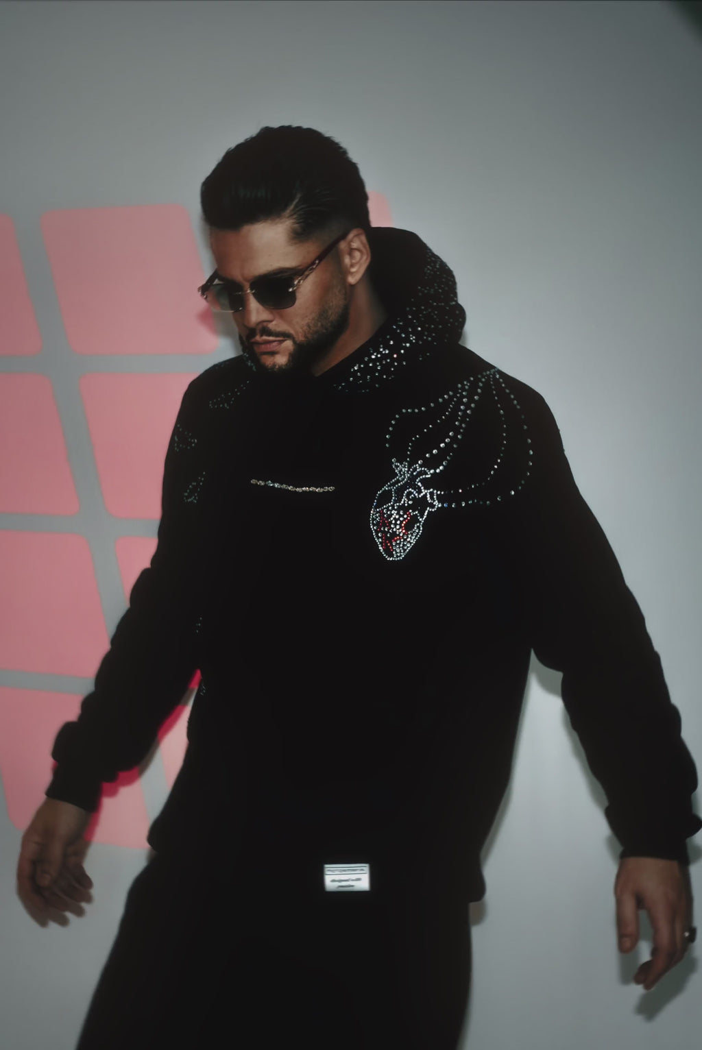 PHOENIX: Rise From the Ashes Hoodie